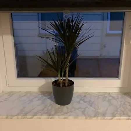 Home24 Immobilien *